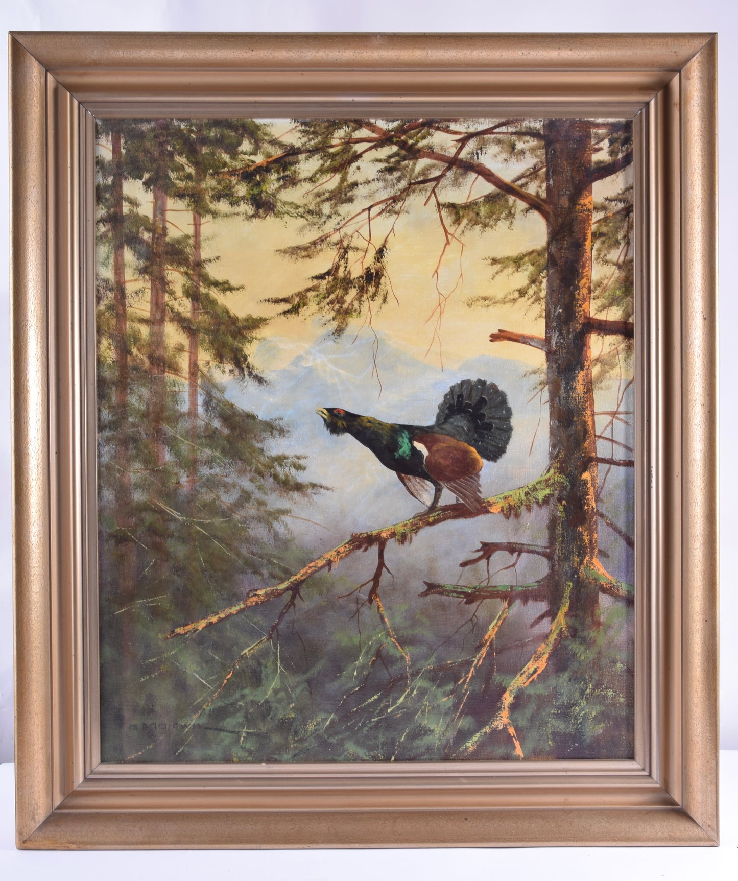 Georg Majewicz Tokujący głuszec olej na płótnie 73x62 cm