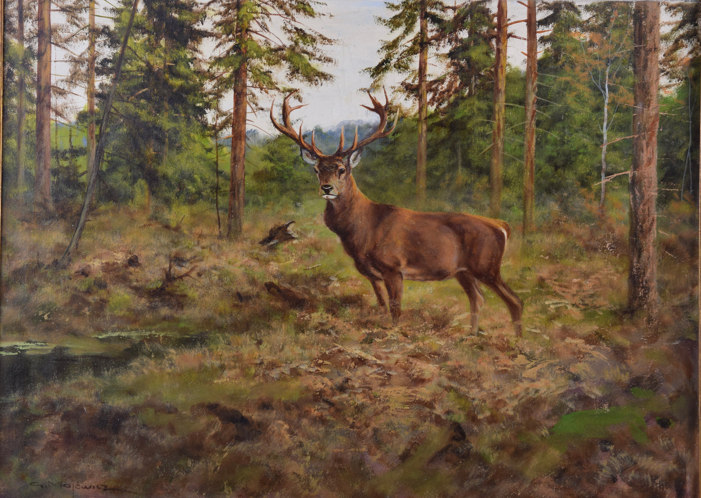 Georg Majewicz Jeleń w naturalnym środowisku olej na płótnie 98x79 cm