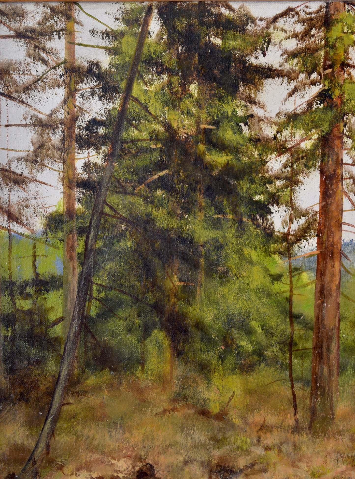 Georg Majewicz Jeleń w naturalnym środowisku olej na płótnie 98x79 cm