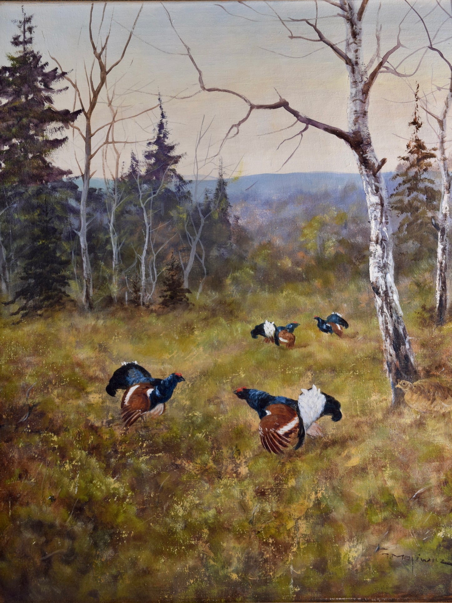 Georg Majewicz Głuszce w naturalnym środowisku olej na płótnie 82x72 cm