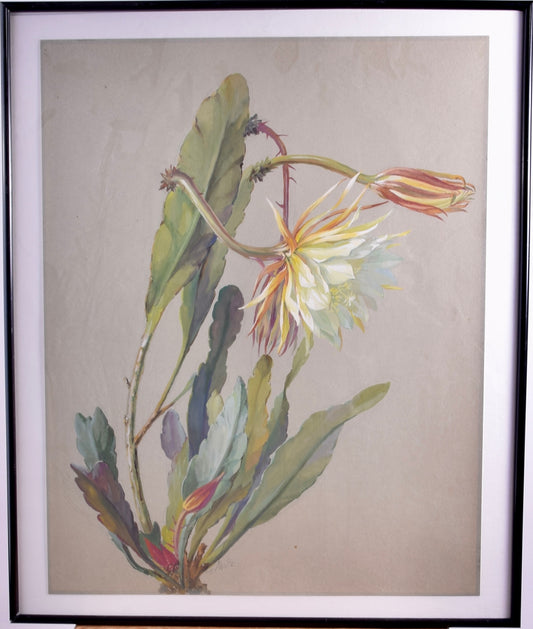 Akwarela sygnowana Kwiat Królowej Nocy II p XX w 62x51 cm