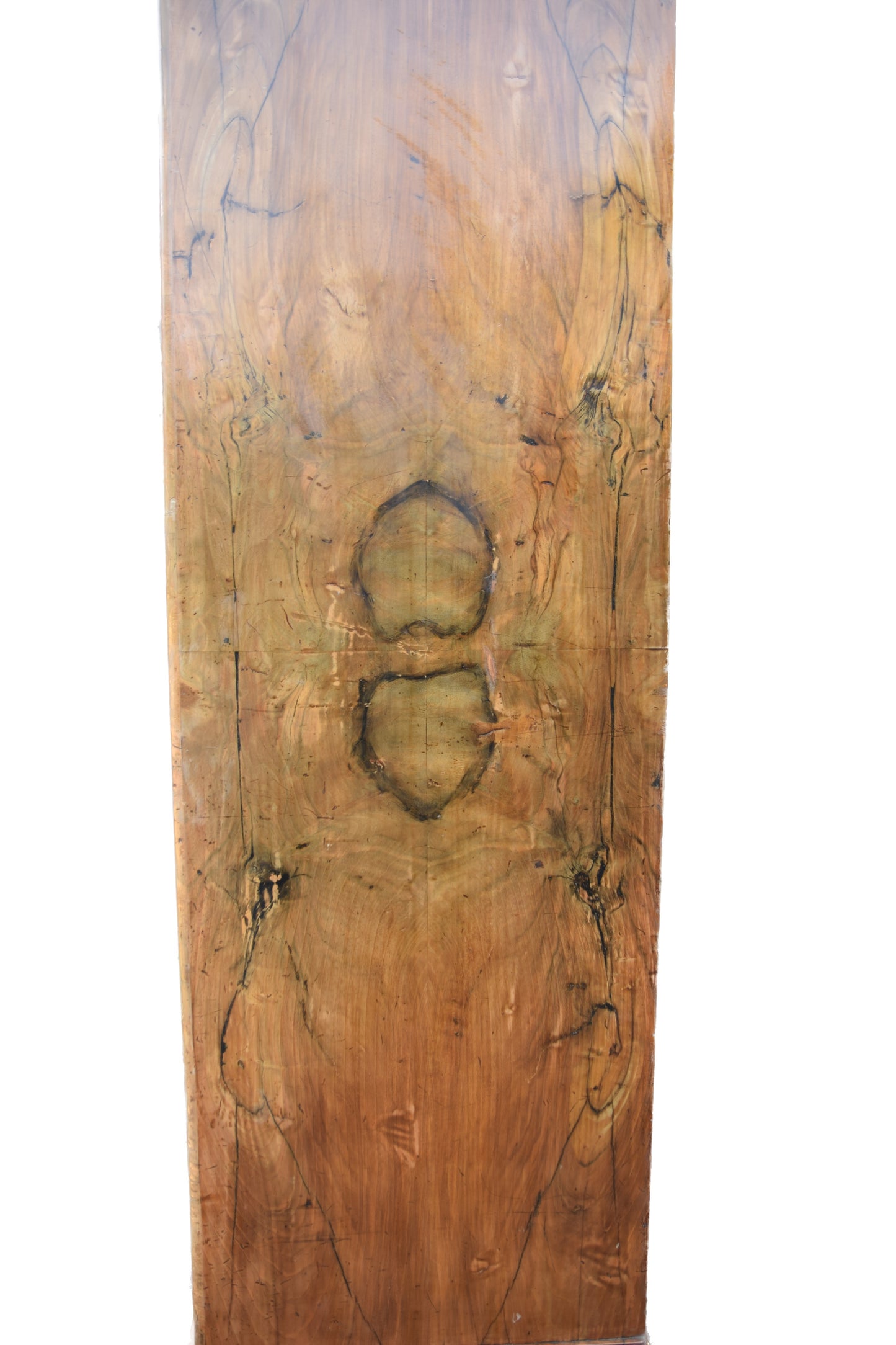 Bieliźniarka Biedermeier z połowy XIX wieku – fornir orzechowy 174cm