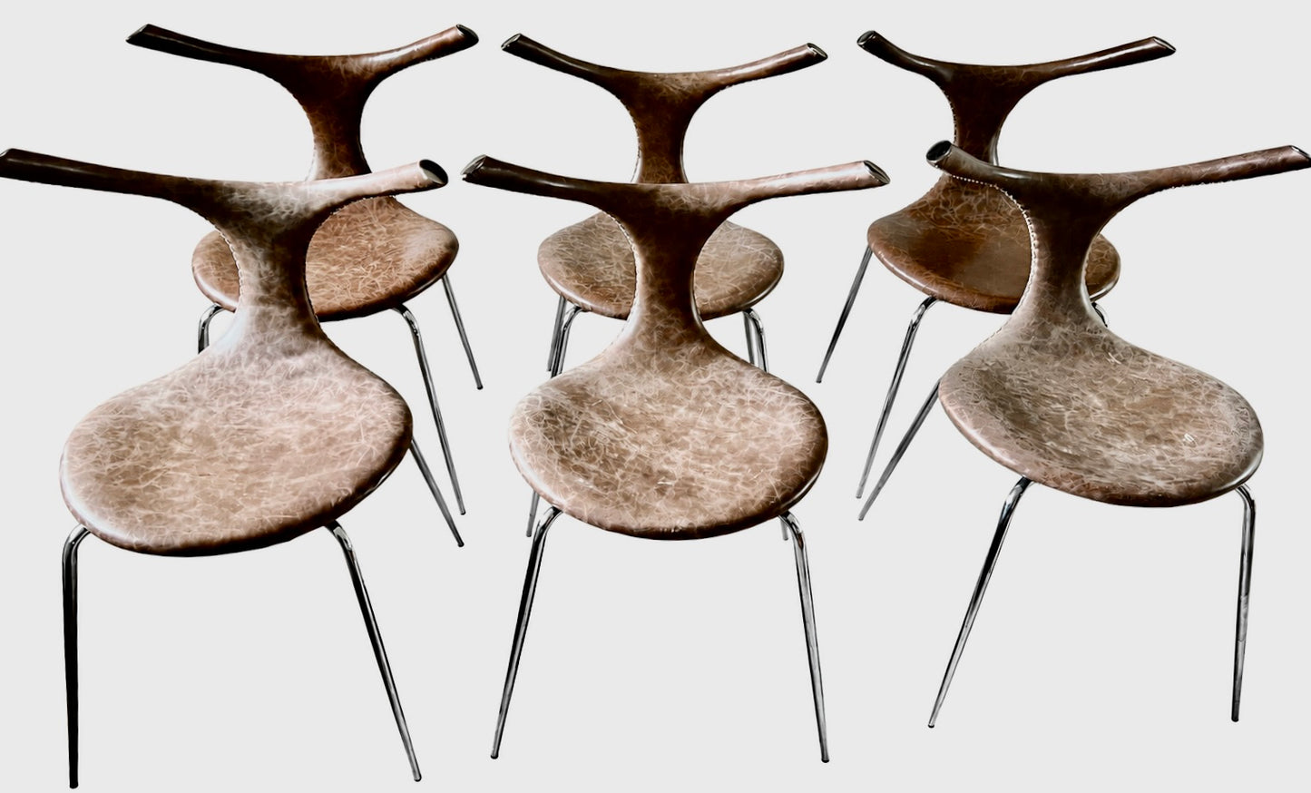6 krzeseł TAURUS DAN-FORM Jorgen Mensen Skóra Naturalna 88x62x52x48cm